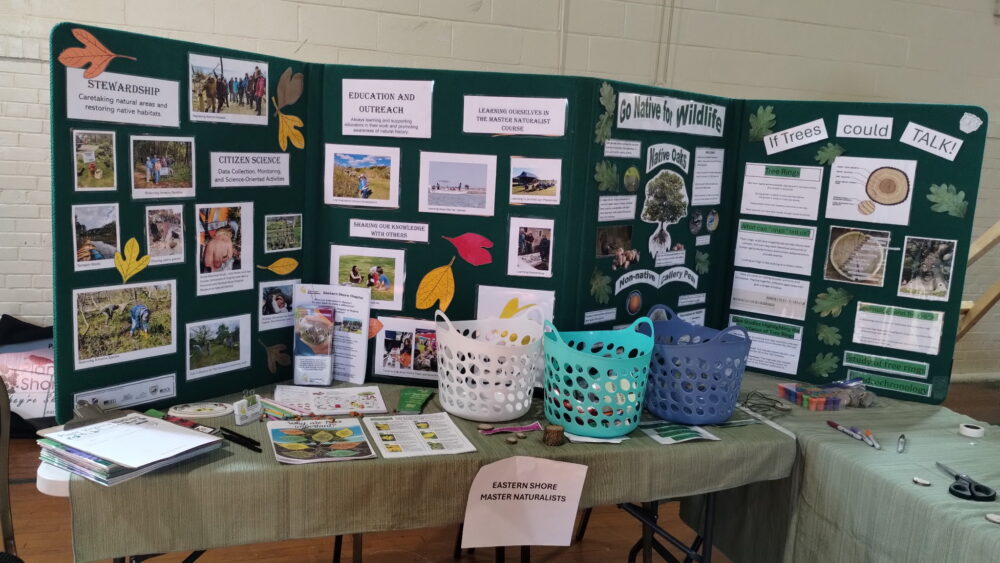 ESMNs Support STEAM Event