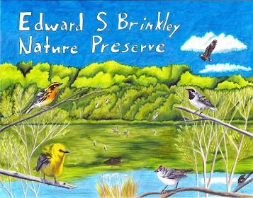 New Brinkley Stewards