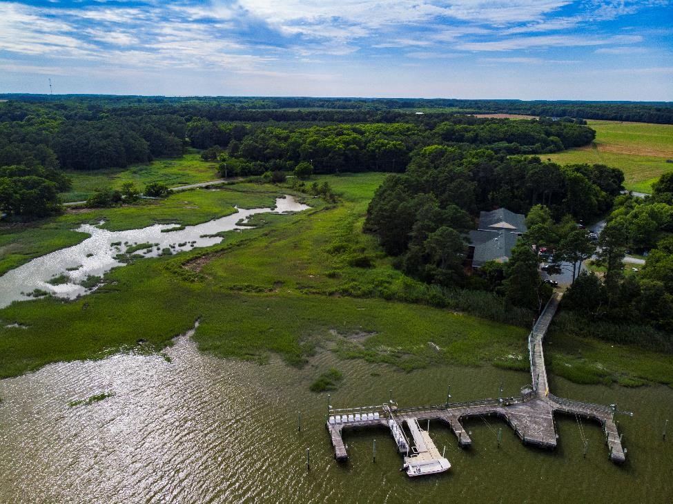 ESMNs Support Project Horizons